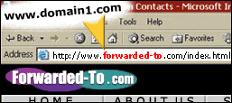 domain name forwarding example